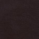 NKJV The Charles F. Stanley Life Principles Bible, burgundy edition, featuring the life principles of Charles Stanley.