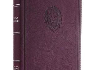 KJV, Thinline Bible Youth Edition
