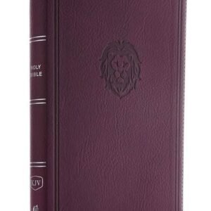 KJV, Thinline Bible Youth Edition