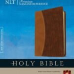 Holy Bible Slimline Reference NLT Large Print