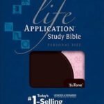 KJV Life Application Study Bible Personal Size Brown/Pink