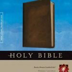 NLT Slimline Reference Bible