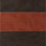 TruTone Forest and Tan Trail Design ESV Thinline Bible