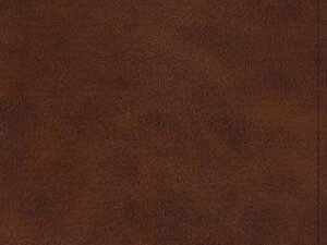 Large print thinline Bible with deep brown TruTone cover, featuring the English Standard Version translation