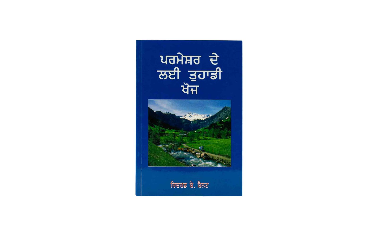 Punjabi Christian Bible Study, Devotionals, and Theology Books