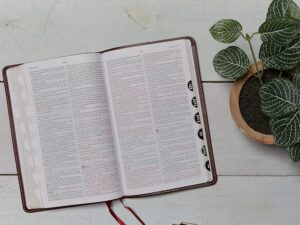 KJV, Thinline Bible, Leathersoft, Purple, Thumb Indexed, Red Letter, Comfort Print: Holy Bible, King James Version Imitation Leather – Import
