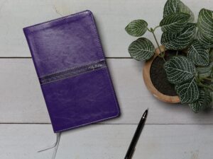 KJV, Thinline Bible, Leathersoft, Purple, Thumb Indexed, Red Letter, Comfort Print: Holy Bible, King James Version Imitation Leather – Import