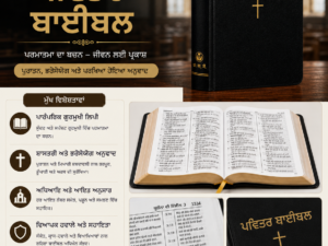 Punjabi Bible