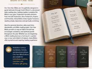 One Year Bibles