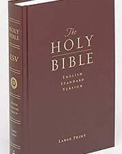 ESV Large print (HB)