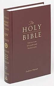 ESV Large print (HB)