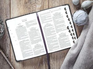 KJV Holy Bible, Compact Edition - Granite Gray Imitation Leather with Thumb Indexes