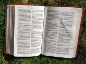 KJV, Holy Bible Maclaren Series, Compact Brown Leather Soft Comport Print. Thomas Nelson