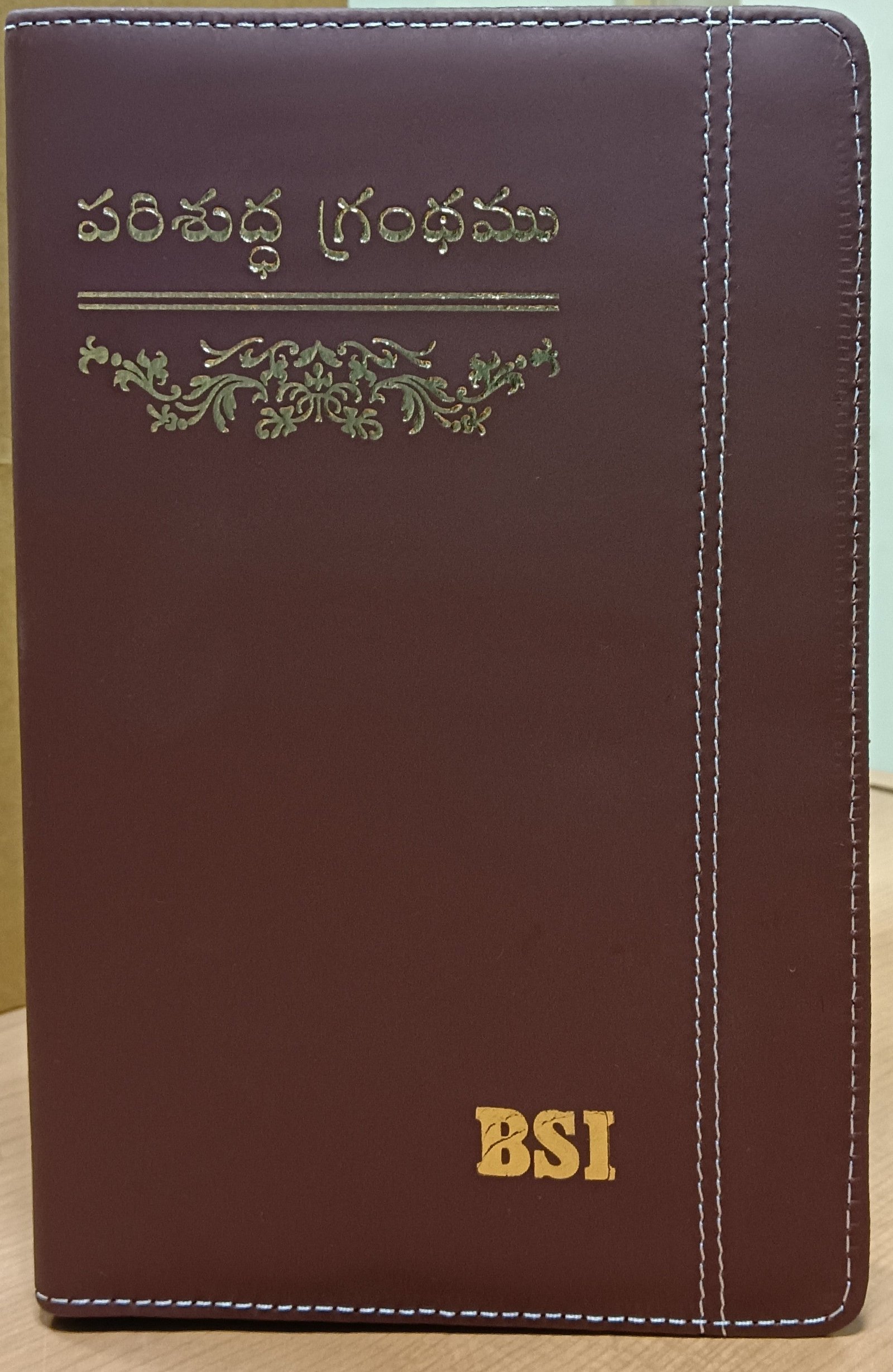 Holy Bible (Telugu)