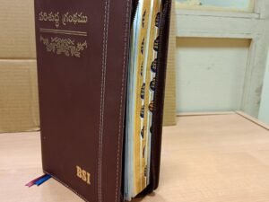 Holy Bible (Telugu)