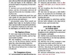KJV Holy Bible, Compact Edition - Granite Gray Imitation Leather with Thumb Indexes
