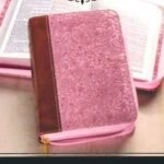 KJV Pocket Bible, Brown and Pink LeatherSoft Cover with Zipper Closure (ISBN: 9781642728644)