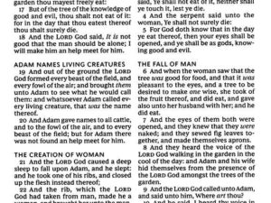 KJV Woman’s Study Bible, Black Genuine Leather Edition (ISBN: 9781400332571)