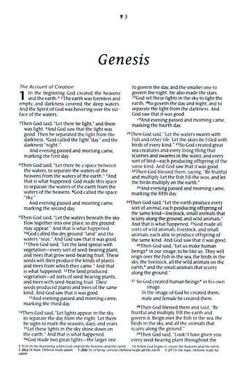 NLT Compact Bible, Filament Enabled Edition: Rustic Brown Cross Design, LeatherLike Cover (ISBN: 9781496455482)