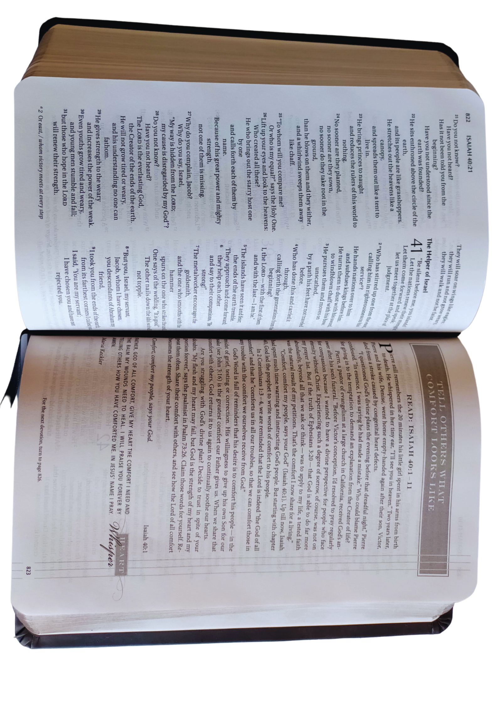 NIV HOPE IN THE MOURNING BIBLE CHARCOAL LS Leather Bound.