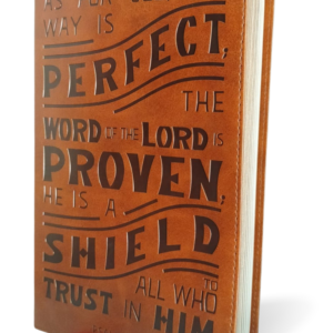 NKJV, Personal Size Reference Bible, Verse Art Cover Collection, Leathersoft, Tan leather, Red Letter, Comfort Print: Holy Bible, New King James Version Imitation Leather. Simple/ Thumb Indexed