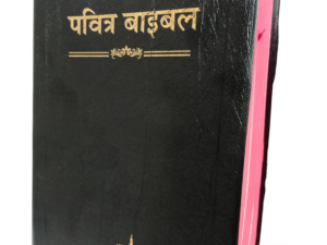 Hindi Holy Bible - BSI version containing Old and New Testament. Packing, Delivery Included.