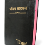 Hindi Holy Bible - BSI version containing Old and New Testament. Packing, Delivery Included.