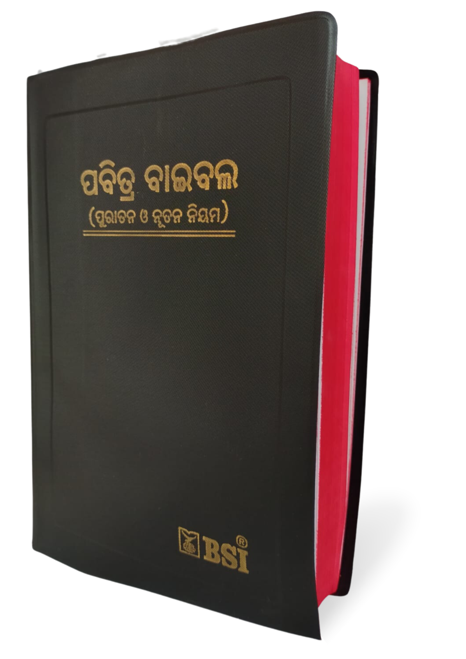Odia Holy Bible - BSI Version with Old & New Testament