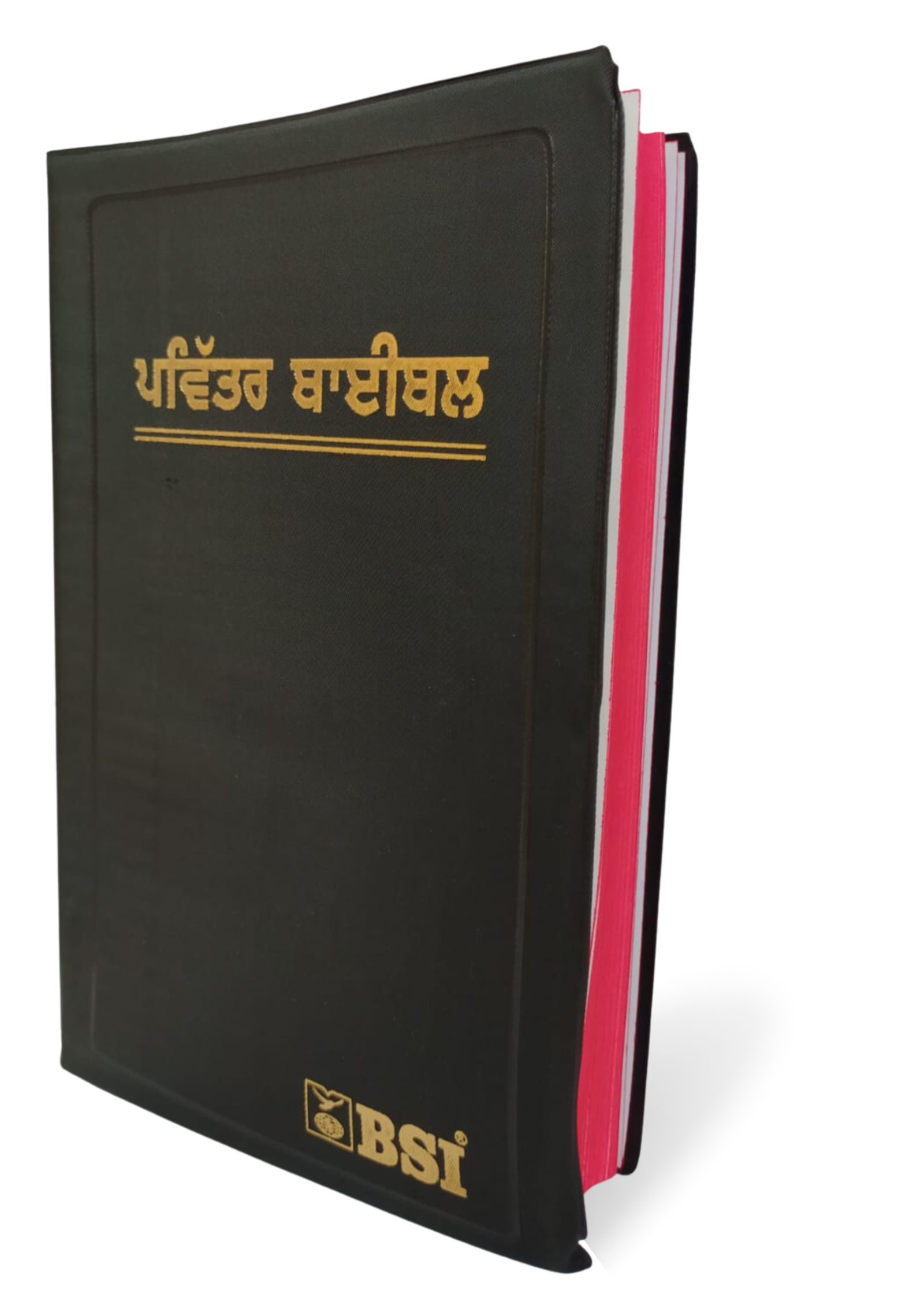 Punjabi Holy Bible - BSI Version with Old & New Testament