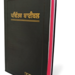 Punjabi Holy Bible BSI version Old New Testament scripture book