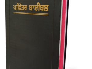 Punjabi Holy Bible BSI version Old New Testament scripture book
