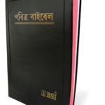 Assamese Holy Bible - BSI version containing Old and New Testament. Packing, Delivery Included