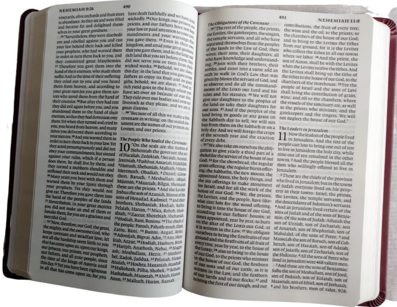 ESV Combo Pack Concise Study and Value Thinline Bible, English Standard Version, Imitation Leather & Hardcover – Import