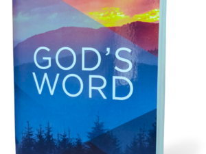 Holy Bible: New International Version, God's Word Paperback – Import