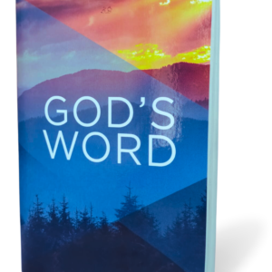 Holy Bible: New International Version, God's Word Paperback – Import