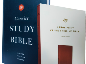 ESV Combo Pack Concise Study and Value Thinline Bible, English Standard Version, Imitation Leather & Hardcover – Import