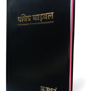Nepali Holy Bible - BSI version containing Old and New Testament. Packing, Delivery Included.