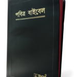 Bengali Holy Bible in English - BSI version with Old and New Testament