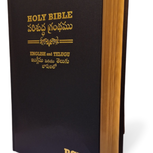 Bilingual Holy Bible, English and Telugu Diglot  Leather/Hardcover