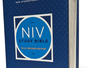 Holy Bible: New International Version, Study Bible, Red Letter (NIV Study Bible, Fully Revised Edition)