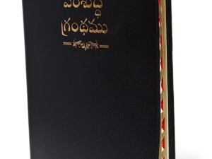 Telugu Holy Bible OV 2021 with Concordance, , Ti Yapp, Leather Like Indexed.