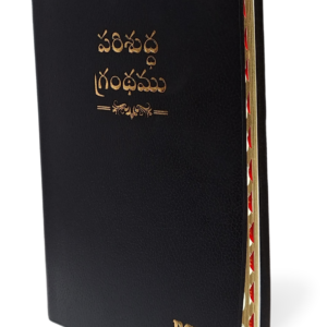 Telugu Holy Bible OV 2021 with Concordance, , Ti Yapp, Leather Like Indexed.