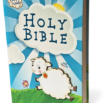 clearance Sale! NIV, Really Woolly Bible, Hardcover, Blue: New International Version Hardcover – Import