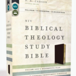 Biblical Theology Study Bible: New International Version, Burgundy, Bonded Leather, Comfort Print; Follow Gods Redemptive Plan As It Unfolds Throughout Scripture Bonded Leather – Illustrated,