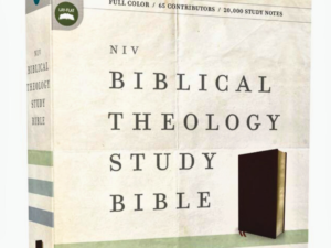 Biblical Theology Study Bible: New International Version, Burgundy, Bonded Leather, Comfort Print; Follow Gods Redemptive Plan As It Unfolds Throughout Scripture Bonded Leather – Illustrated,