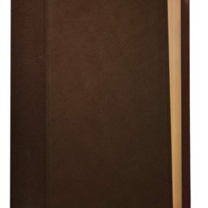 NLT Life Application Study Bible, Third Edition (Leatherlike, Dark Brown/Brown) Imitation Leather