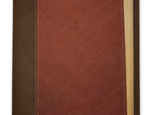NIV Life Application Study Bible, Third Edition Imitation Leather (LeatherLike, Brown/Mahogany) Tyndale NIV Bible