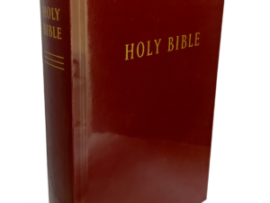 Burgundy Pew Bible in English, NLT Study Bible (Hardcover)