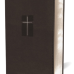 Holy Bible: New International Version, Quest Study Bible, Black, Leather soft, Comfort Print; the Only Q and A Study Bible Imitation Leather – Import,