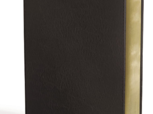 KJV, Thompson Chain-Reference Bible, Handy Size, Bonded Leather, Black, Red Letter: King James Version, Black, Bonded Leather, Handy Size, Red Letter Bonded Leather